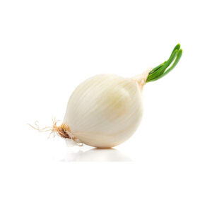 Comprar Cebolla Cabezona Blanca Orgánica Fresca Granja Orgánica en Colombia