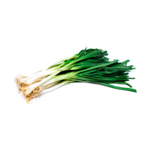Comprar Cebolla Larga Orgánica Fresca Granja Orgánica en Colombia