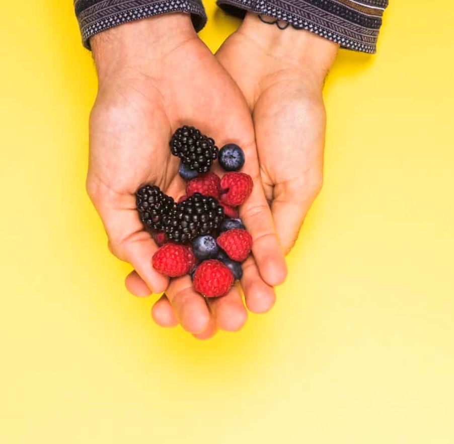 Frutas Orgánicas Frescas y Sin Pesticidas | Granja Orgánica en Colombia