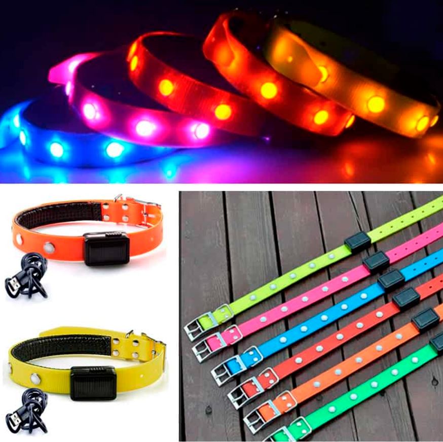 Collar luminoso para mascotas con carga solar y USB, ideal para mayor visibilidad nocturna.