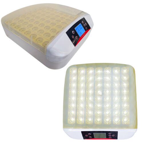 Incubadora con luz para 56 huevos con control automático de temperatura, giro automático y llenado externo de agua.