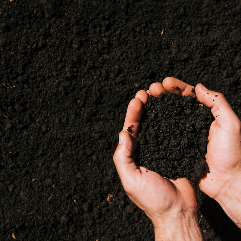 Tierra negra orgánica, natural y enriquecida, perfecta para cultivos y jardines, producida en Frescorgánico Colombia.