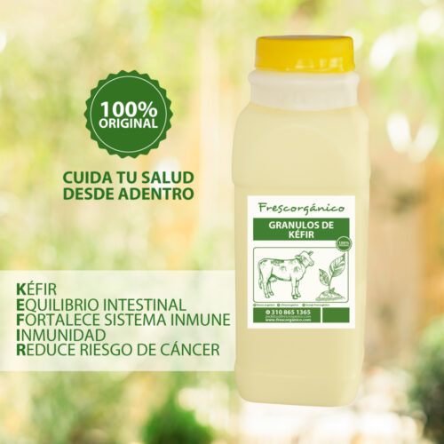 BACILOS, BÚLGAROS O GRANULOS DE LECHE O AGUA