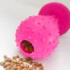Chupo-Lassie-Rosado-Comida-1024-px-All-Imports Chupo Juguete Dispensador de Comida para Perros – Antiestrés y Resistente