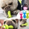 ChupoLassieAMBIENTE1 Chupo Juguete Dispensador de Comida para Perros – Antiestrés y Resistente