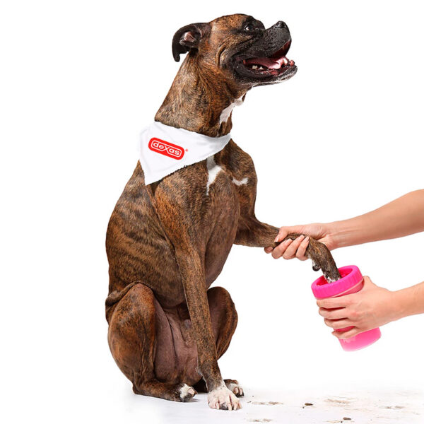 Limpiador-Paw-Boxer--1024-px-All-Imports Limpiador de Patas para Perros raza pequeña y Gatos Portátil Lavable con Cerdas de Silicona