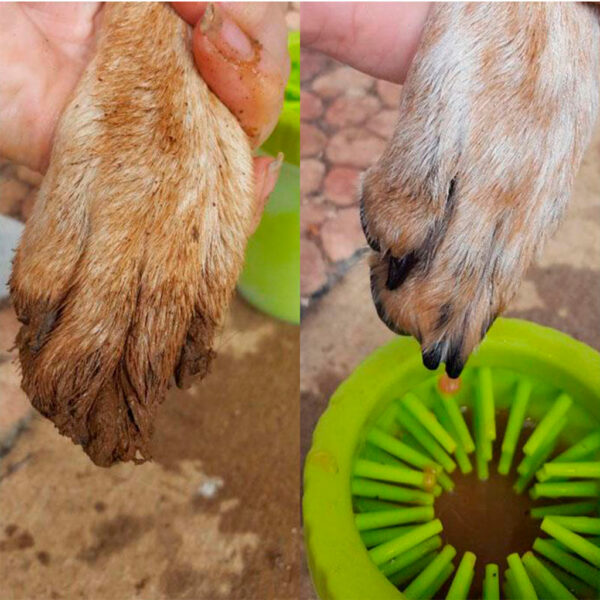 Limpiador-Paw-antes-y-despues1024-px-All-Imports Limpiador de Patas para Perros raza pequeña y Gatos Portátil Lavable con Cerdas de Silicona
